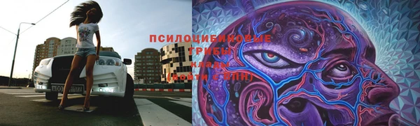 тгк Фурманов