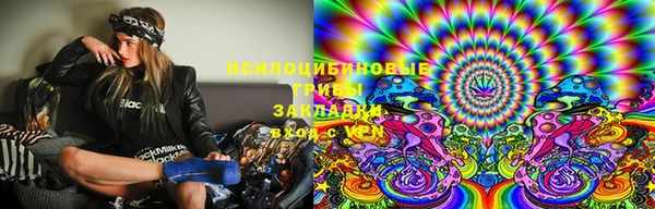 PSILOCYBIN Елабуга