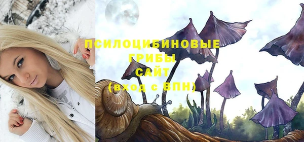 бошки Чердынь