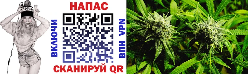Бошки марихуана гибрид  Ахтубинск 