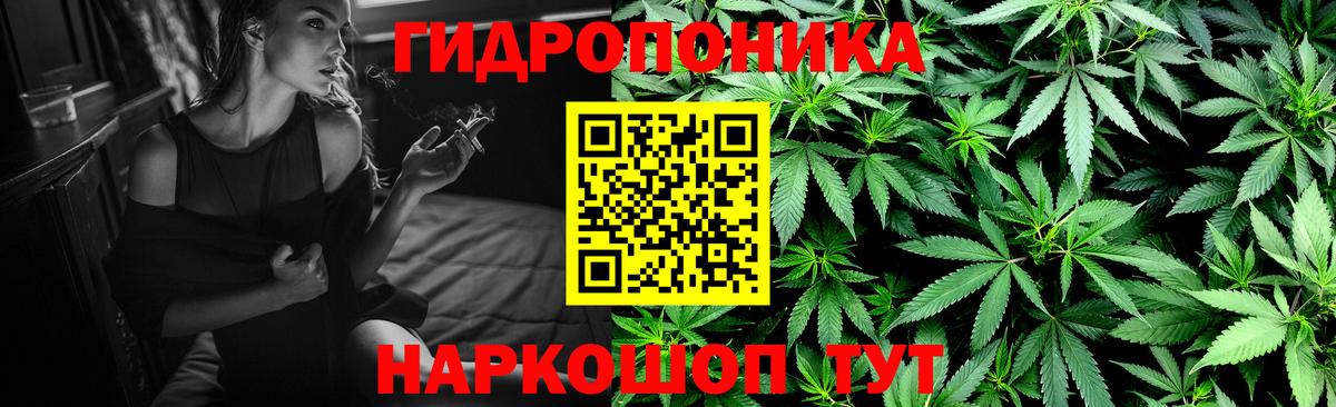 Бошки Шишки THC 21% Ахтубинск
